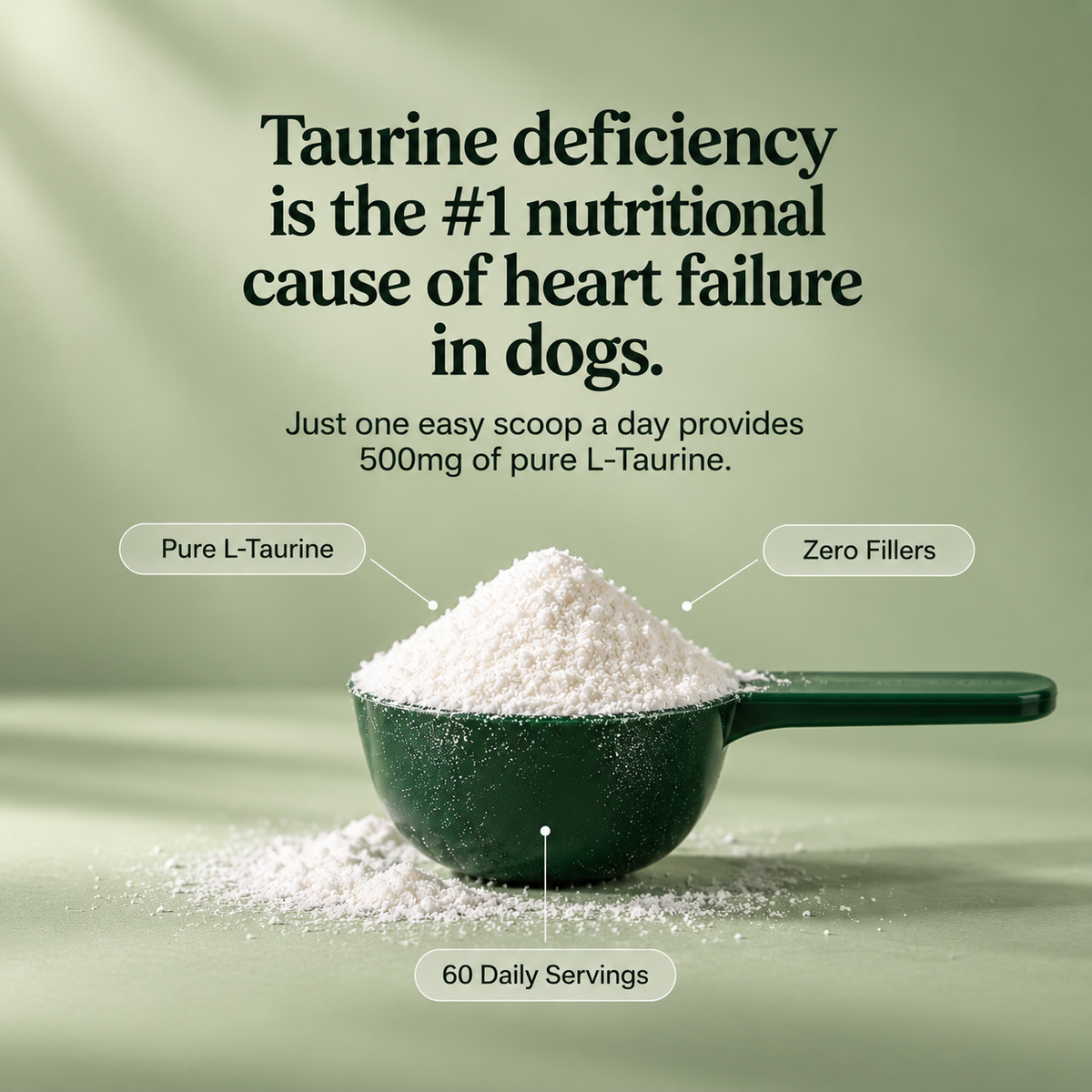 Wagwells™ - Taurine