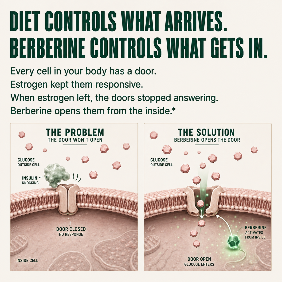 Berberine Extract