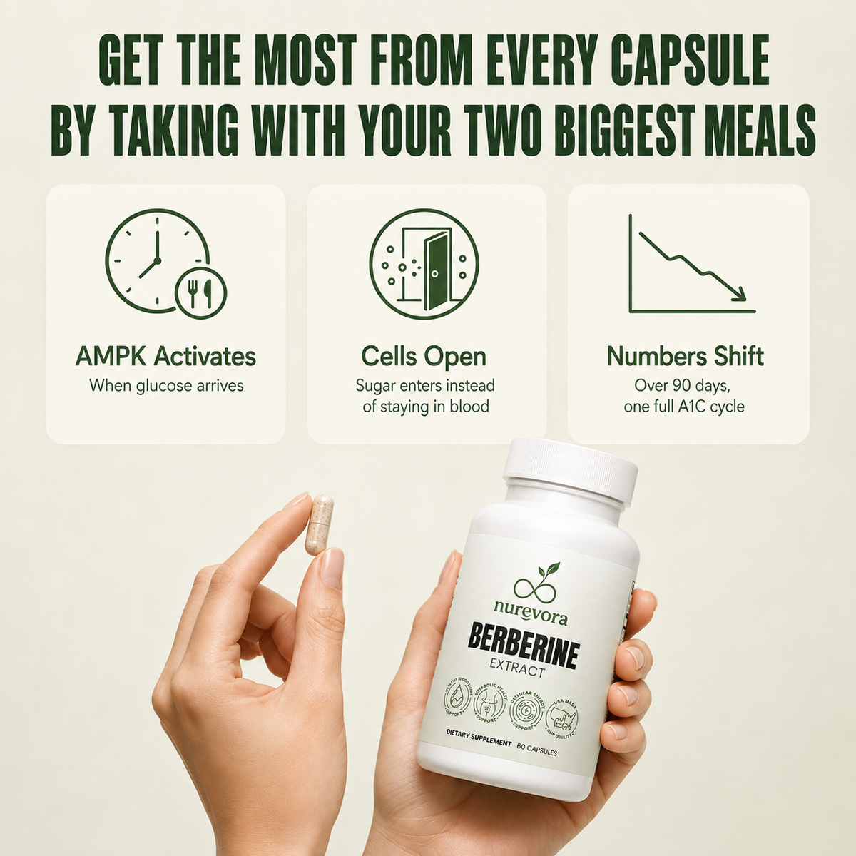 Berberine Extract