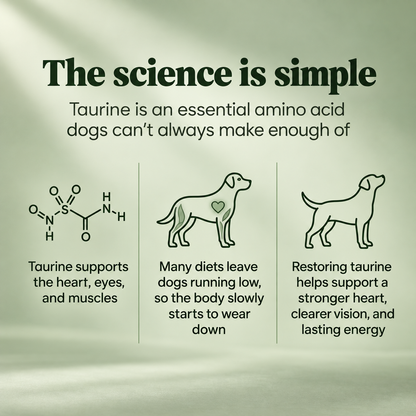 Wagwells™ - Taurine